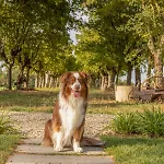 Tenuta Ca Bassa Castel San Pietro Terme