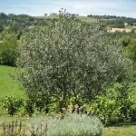 Tenuta Ca Bassa 3*