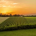 Tenuta Ca Bassa 3* Castel San Pietro Terme