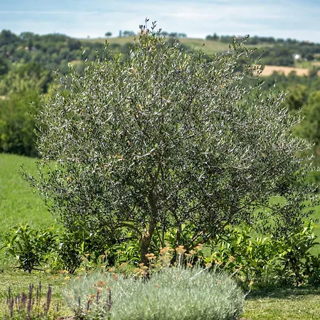 Tenuta Ca Bassa 3*