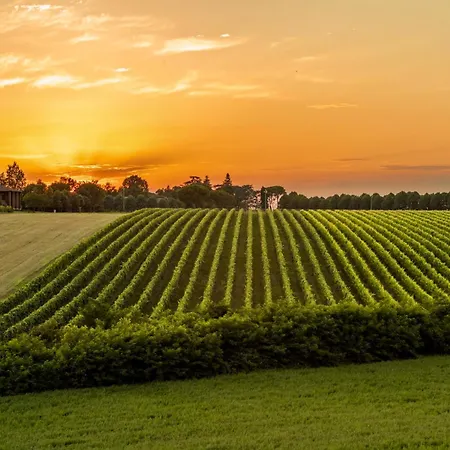 Tenuta Ca Bassa 3* Кастель Сан Петро Терме