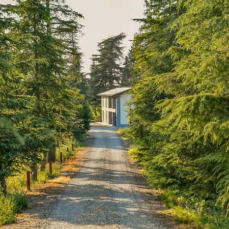 Tenuta Ca Bassa Отель типа 
