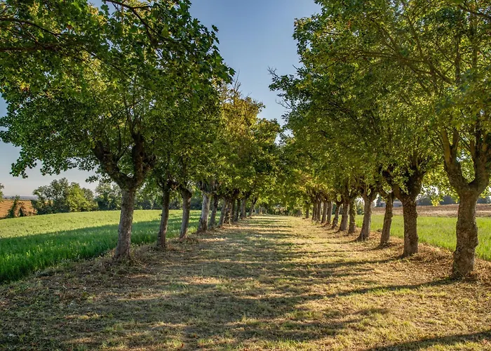 Bed & Breakfast Tenuta Ca Bassa Castel San Pietro Terme
