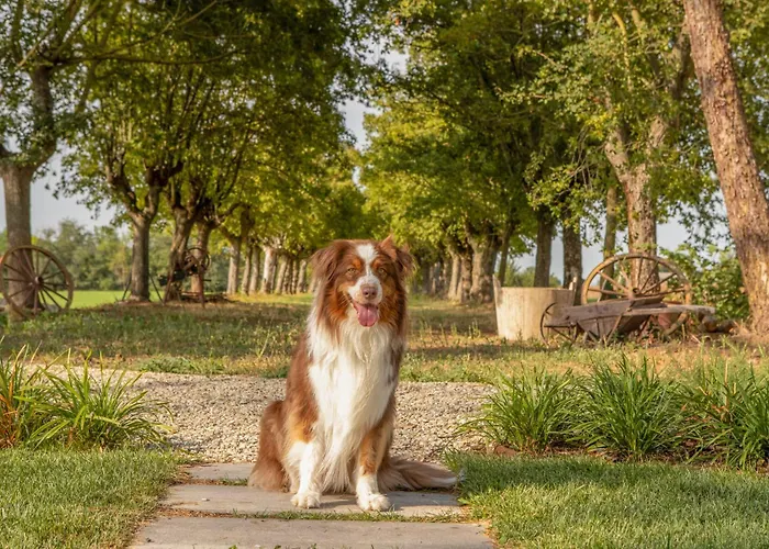 Tenuta Ca Bassa Castel San Pietro Terme