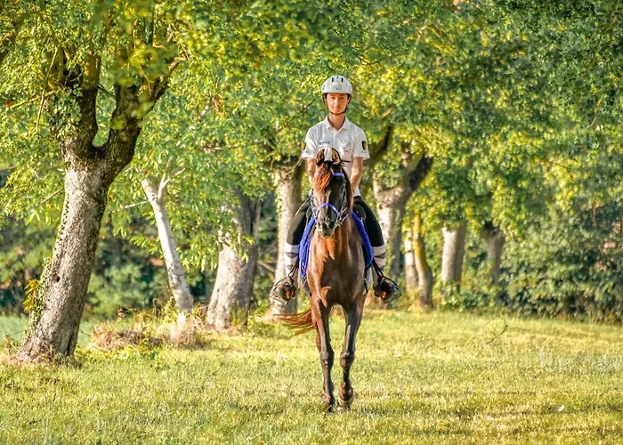 Bed & Breakfast Tenuta Ca Bassa Castel San Pietro Terme