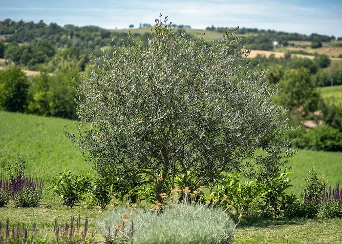 Tenuta Ca Bassa 3*