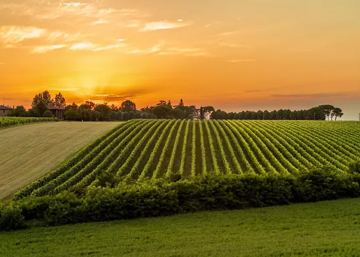 Tenuta Ca Bassa 3* Castel San Pietro Terme