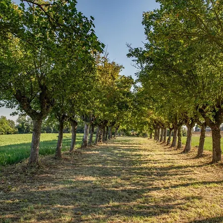 Nocleg ze śniadaniem Tenuta Ca Bassa Castel San Pietro Terme
