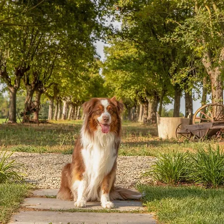 Tenuta Ca Bassa Castel San Pietro Terme