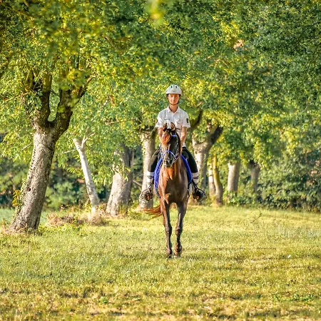 Nocleg ze śniadaniem Tenuta Ca Bassa Castel San Pietro Terme
