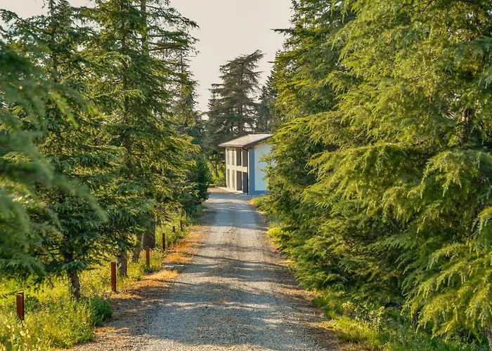 Tenuta Cà Bassa Couette-café Castel San Pietro Terme